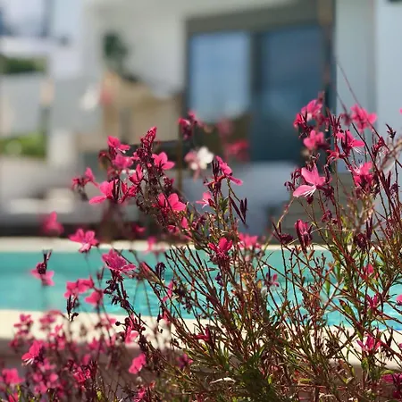 Creta Blue Boutique 4* Koutouloufari